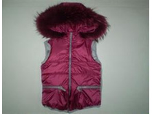 SUN6N   2950 ���