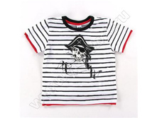 PIR1   528 ���