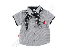 PIR12   867 ���