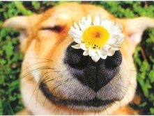 ����� � ����.jpg