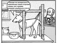 ������ �������.jpg