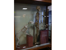 �������-������ ������� ��������� ������ �� ������:)