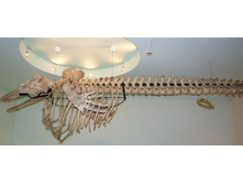 ��� ����� ��������� ��� ��������