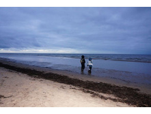 ����� ���������� � ����