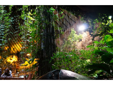 � ����������� ���� ��������