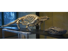 ��������� ��������� �� ��������