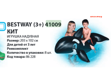 ������� �������� Bestway (3+) 41009 ��� 203�102��, 360�.png