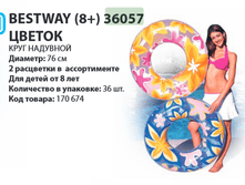 ���� �������� Bestway (8+) 36057 ������ 76��, 74�.png