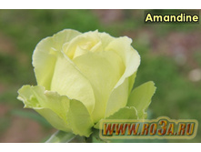 ������� 130�.JPG