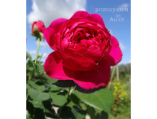 �����  140�.jpg