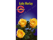 ���� ����� 130�.jpg