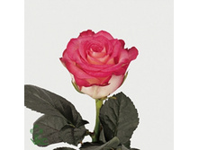 �-���� 130�.jpg