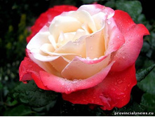 ��������� 140�.jpg