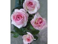 ���������� 130�.jpg