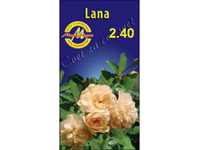 ���� 130�.jpg