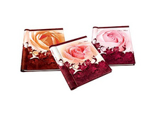 559���. ��� 73815 V  ������� Image ART400 ����� 126-�����.jpg