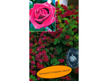 ������� ������� ����� 140�.jpg