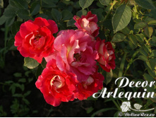 ����� 150�.jpg