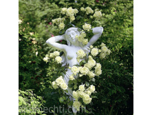 ���� 140�.jpg