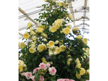 ������� 180�.jpg