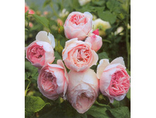 ������� 180�.jpg