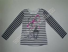 KLBSIDEODC5_509 ���