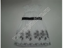 KLBELLEUKA2_1093 ���