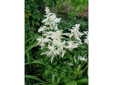 ����������*