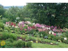 ������������� ������ ��������