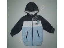 FIR13_1394 ���