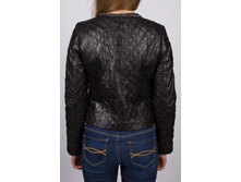 REVA024 - �����.jpg