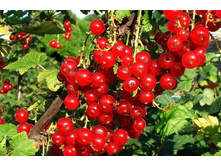 ��������� ������� ������ ��� ���� 1�� 140���.jpg