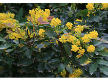 ������� 125�.jpg