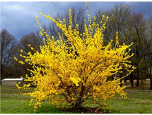 �������� 125�.jpg