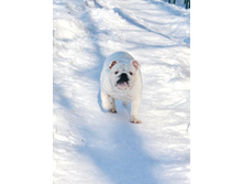 31 ������ ���� �������� 019.jpg