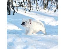 31 ������ ���� �������� 015.jpg