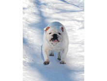 31 ������ ���� �������� 020.jpg