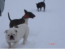 �������������� ��������