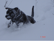 ������ �������� 07.01.13 011.JPG