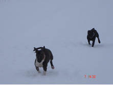 ������ �������� 07.01.13 012.JPG