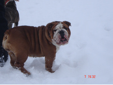 ������ �������� 07.01.13 013.JPG