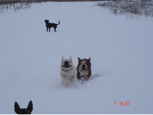 ������ �������� 07.01.13 022.JPG