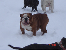 ������ �������� 07.01.13 030.JPG