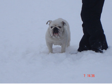 ������ �������� 07.01.13 033.JPG