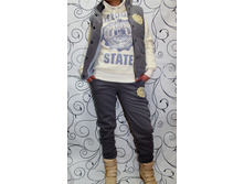 ������ 3 � 1 Michigan State grey logo grey- 1150 ���.