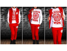 ������ 3 � 1 �� ���� Michigan State red-logo red- 1150 ���. 