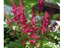 ������� *