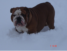 ������ �������� 07.01.13 045.JPG