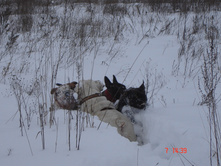 ������ �������� 07.01.13 049.JPG