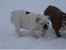 ������ �������� 07.01.13 051.JPG